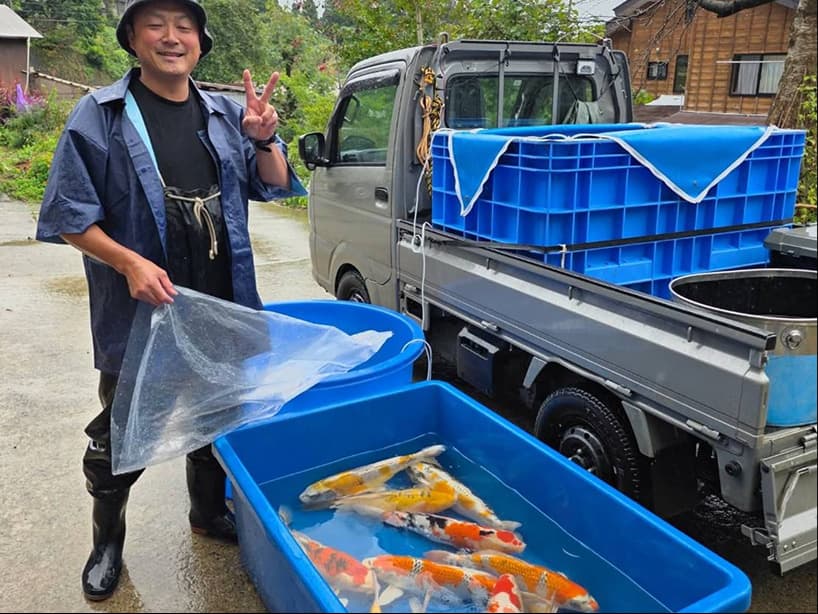 KoiMartFarm Japan