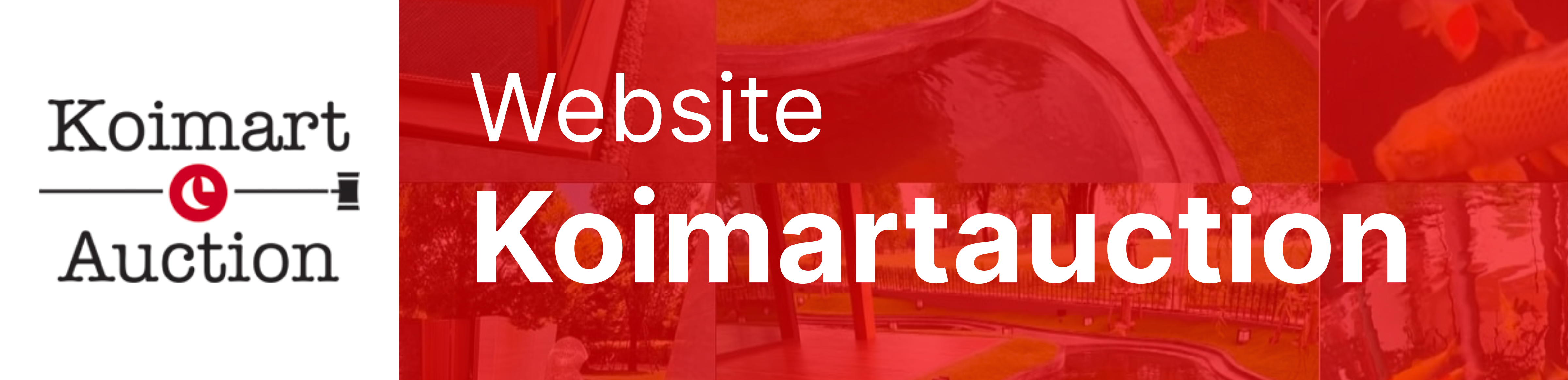 Website Koimartauction