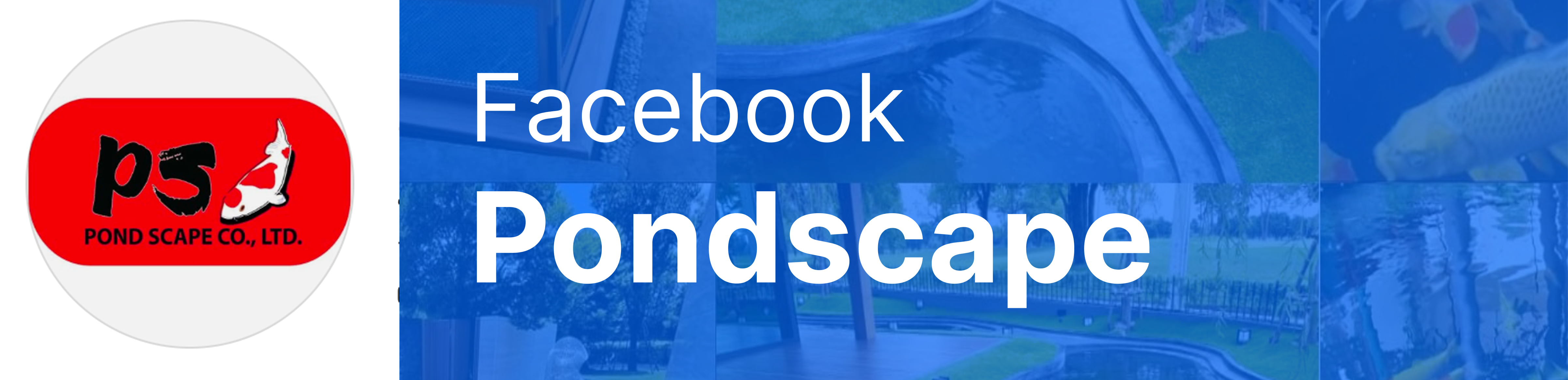 Facebook Pondscape