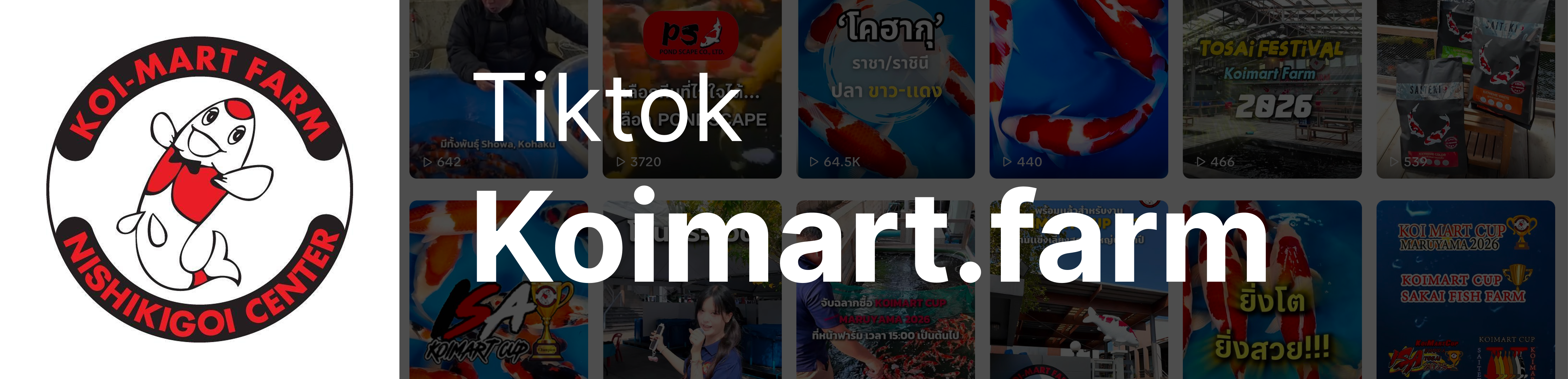 TikTok Koimart.farm